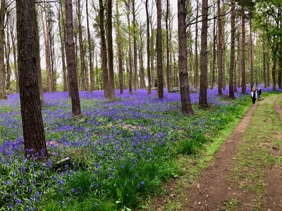 picture of Wootten Wawen
 UK