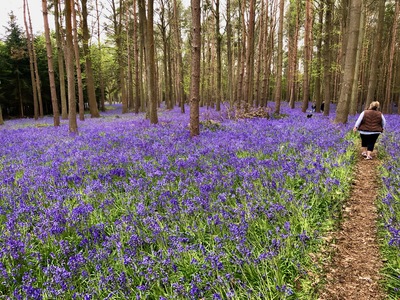 picture of Wootten Wawen
 UK