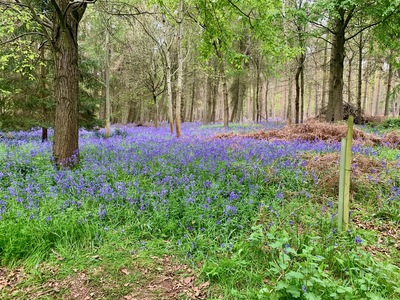 picture of Wootten Wawen
 UK