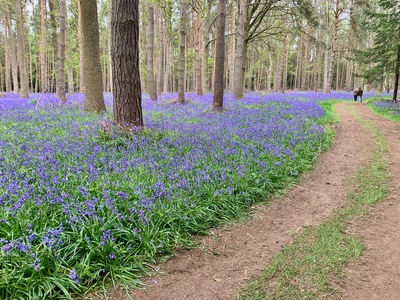 picture of Wootten Wawen
 UK