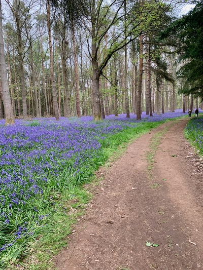 picture of Wootten Wawen
 UK