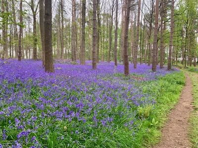 picture of Wootten Wawen
 UK