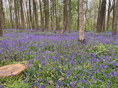 picture of Wootten Wawen
 UK