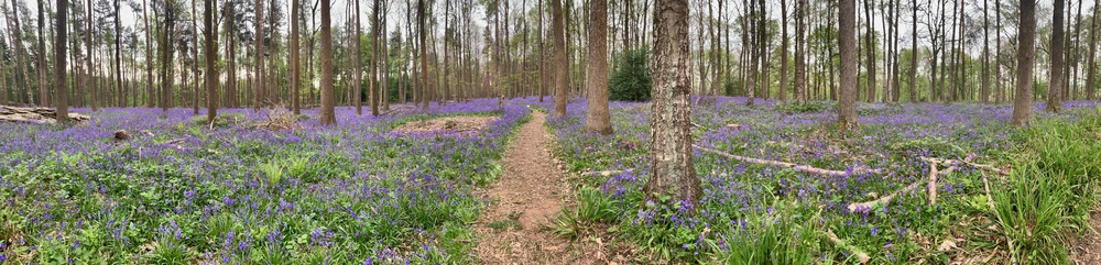 picture of Wootten Wawen
 UK