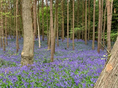 picture of Wootten Wawen
 UK