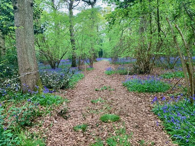 picture of Wootten Wawen
 UK