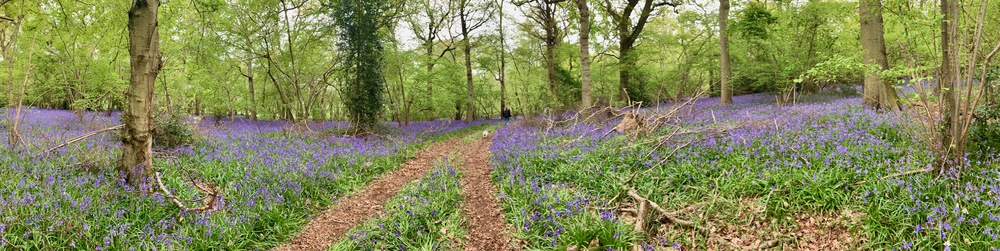 picture of Wootten Wawen
 UK