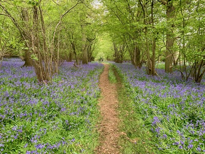 picture of Wootten Wawen
 UK