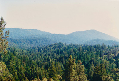 picture of Pacific California Highway
 USA
