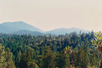 picture of Pacific California Highway
 USA