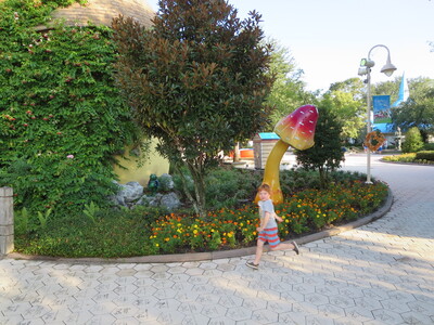 picture of Florida October 2013
 USA