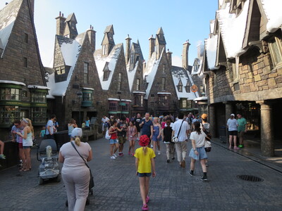 picture of Florida October 2013
 USA