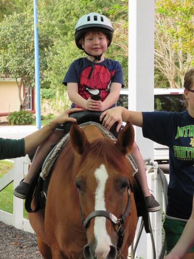 picture of Florida October 2013
 USA