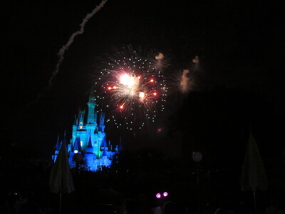 picture of Florida October 2013
 USA