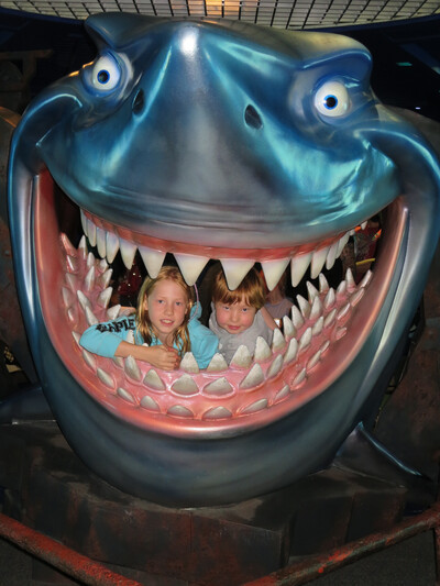 picture of Florida October 2013
 USA