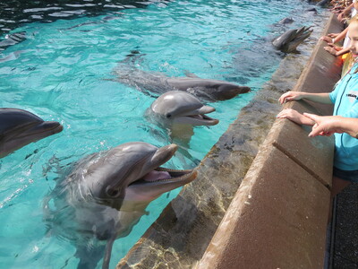 picture of Florida October 2013
 USA