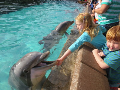 picture of Florida October 2013
 USA