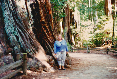 picture of Giant Redwood Forest
 USA