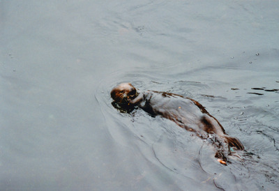 picture of Monterey
 USA