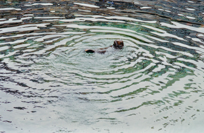 picture of Monterey
 USA