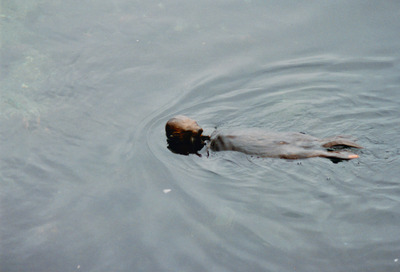 picture of Monterey
 USA