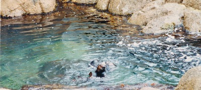 picture of Monterey
 USA