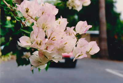 picture of Santa Barbara
 USA