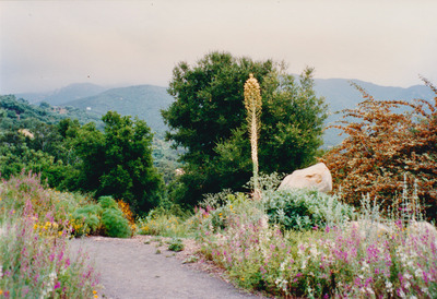 picture of Santa Barbara
 USA