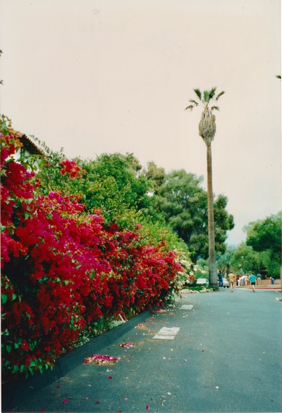 picture of Santa Barbara
 USA