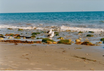 picture of Santa Barbara
 USA