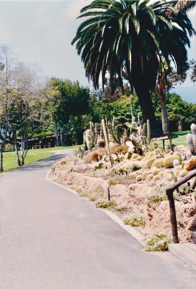 picture of Santa Barbara
 USA