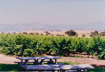 picture of Santa Barbara
 USA