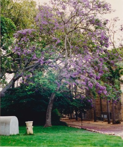 picture of Santa Barbara
 USA