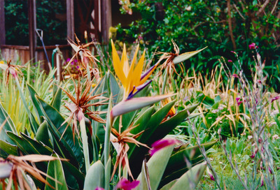 picture of Santa Barbara
 USA