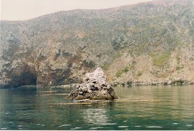 picture of Santa Cruz Island
 USA