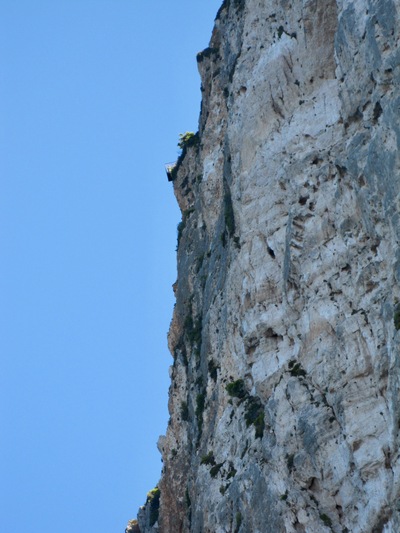 picture of Navagio or Shipwreck Beach 2010
 Zakynthos