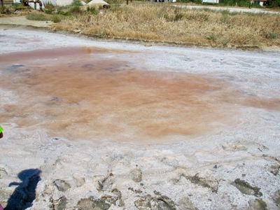 picture of Zakynthos Aug 2010
 Zakynthos